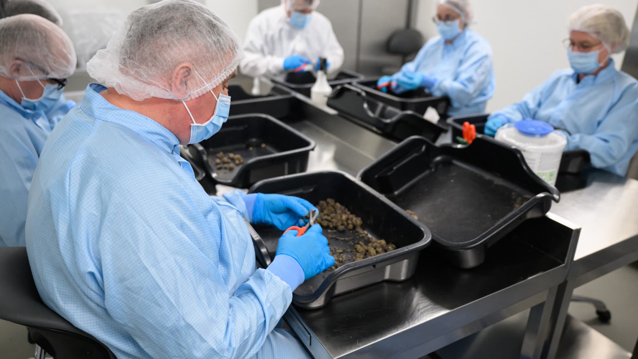 Des employés de Cantourage inspectent et traitent des fleurs de cannabis sur le site de production de l'entreprise, situé dans un lieu tenu secret en Bavière, dans le sud de l'Allemagne, le 29 avril 2025. Cantourage produit du cannabis médical et l'industrie est en plein essor depuis la légalisation en 2024. (Légende AFP via Google traduction) Des employés de Cantourage inspectent et traitent des fleurs de cannabis sur le site de production de l'entreprise, situé dans un lieu tenu secret en Bavière, dans le sud de l'Allemagne, le 29 avril 2025. Cantourage produit du cannabis médical et l'industrie est en plein essor depuis la légalisation en 2024. (Légende AFP via Google traduction)
