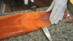 Le groupe producteur de saumon Marine Harvest prévoit plus de 450 suppressions de postes sur ses sites de Bretagne.