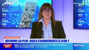 "Trois urnes, ça peut créer de la confusion": Véronique Sarselli s'exprime sur laforme de la loi PLM