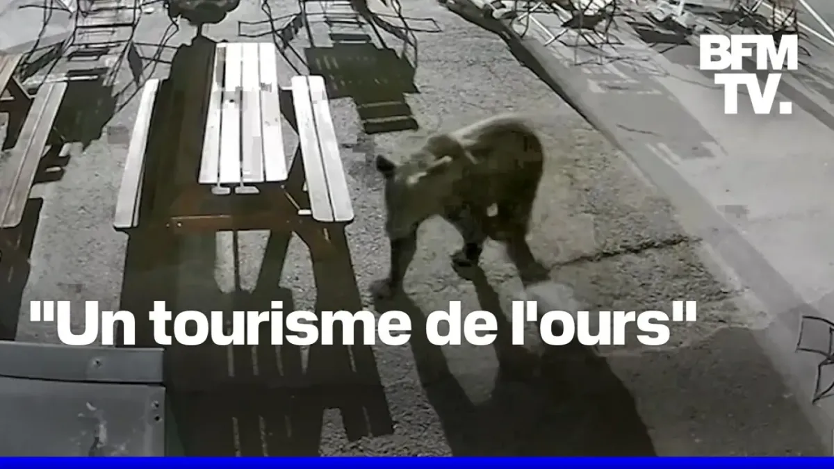 placeholder video