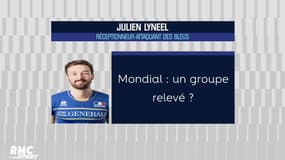 Volleyball : Julien Lyneel : "Hâte d'en découdre avec ces championnats du monde"