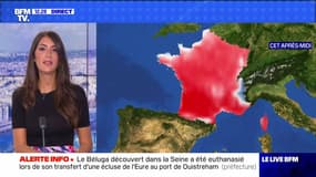 La météo pour ce jeudi 11 août 2022