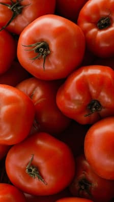  Tomates mexicaines, les nouvelles cibles des ‘‘tariffs’’ de Trump 