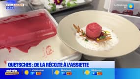 Le journal de 8h du lundi 25 août 2025 - Quetsches : de la récolte à l'assiette