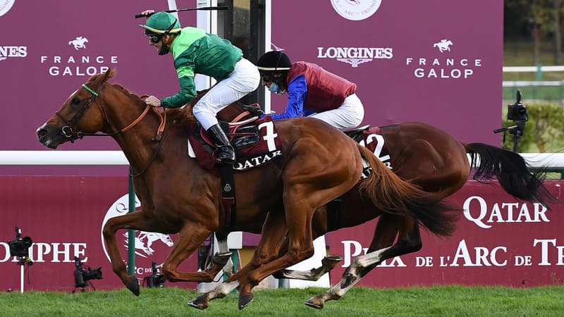 Sottsass domine In Swoop dans le Prix de l'Arc de Triomphe