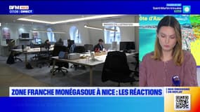 Zone franche monégasque à Nice : les réactions azuréennes