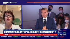 Christiane Lambert (FNSEA) : Comment garantir "la sécurité alimentaire" ? - 12/10