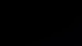 Riss revient sur la polémique des dessins d'Amatrice publiés dans Charlie Hebdo