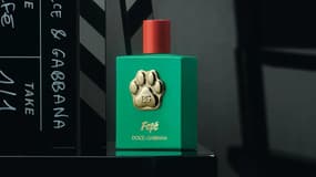Féfé, Dolce & Gabbana 