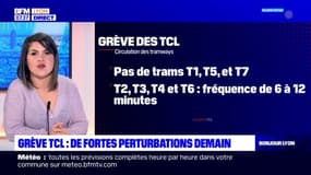 Lyon: de fortes perturbations sur le réseau TCL mercredi 