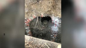 Un mystérieux tunnel a été découvert dans la commune de Saint-Laurent-de-Mure le 30 janvier 2024