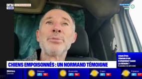 Chiens empoisonnés: un Normand témoigne