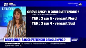 Hauts-de-France: à quoi s'attendre avec la grève des contrôleurs SNCF ce week-end? 