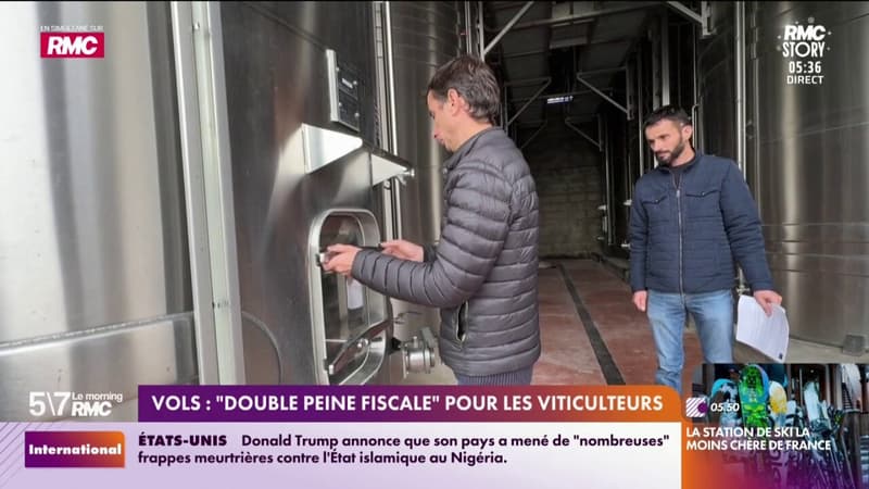 Vols : "Double peine fiscale" pour les viticulteurs
