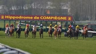 Les pronos hippiques du samedi 28 octobre 2023