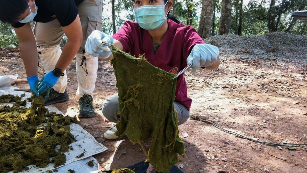 Les vétérinaires examinent des déchets découverts dans l'estomac du cerf retrouvé mort au parc national de Khun Sathan, en Thaïlande Les vétérinaires examinent des déchets découverts dans l'estomac du cerf retrouvé mort au parc national de Khun Sathan, en Thaïlande