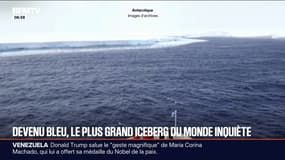 Le plus grand iceberg du monde est devenu bleu et c'est un problème