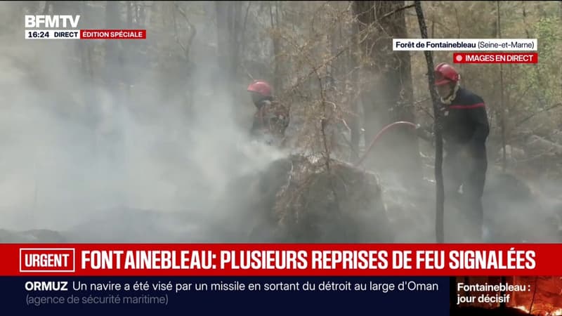 Incendies: deux suspects ont reconnu leur implication dans les départs de feu distincts à Fontainebleau