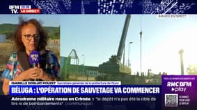 Béluga dans la Seine: "Les équipes vont intervenir à partir de 21h00/21h30", explique la secrétaire générale de la préfecture de l'Eure