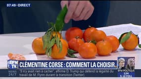 La clémentine, star de l'hiver