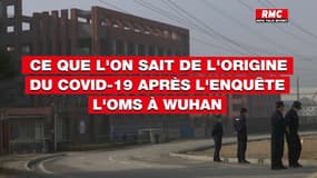 Les hypothèses des enquêteurs de l'OMS en Chine sur l'origine du Covid-19 