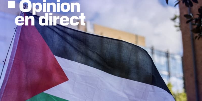 Une personne brandit un drapeau palestinien lors d'une manifestation de soutien à Gaza le 28 juillet 2025.