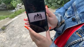 Une passante a aperçu une écrevisse géante au parc Barbieux à Roubaix.