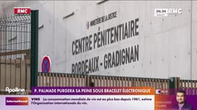 Pierre Palmade va purger sa peine sous bracelet électronique 
