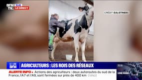 Ces agriculteurs partagent leur quotidien sur les réseaux sociaux 