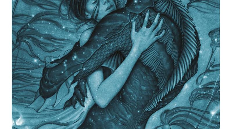 affiche shape of water