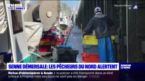 Hauts-de-France: les pêcheurs en appellent à l'Etat pour interdire la senne démersale