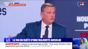 Législatives: pour Louis Aliot, "les consignes de vote vont à l'encontre de ce qu'attendent les Français"