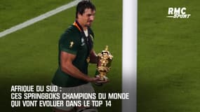 Afrique du Sud : Ces champions du monde Springboks qui vont jouer dans le Top 14