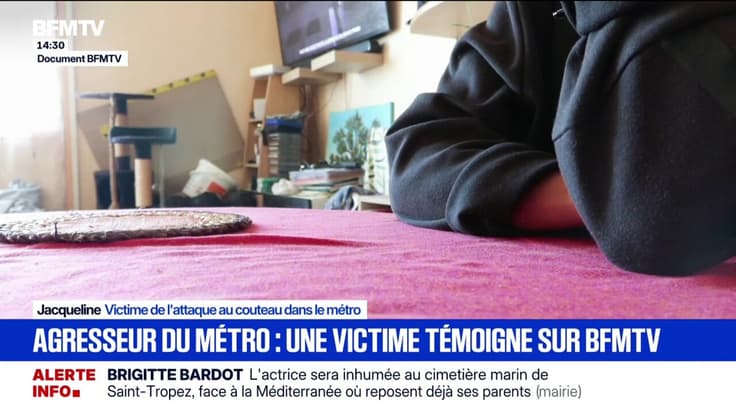Agression dans le métro parisien: "J'ai senti comme un coup très très fort dans mon dos", témoigne Jacqueline, victime de l'attaque au couteau 