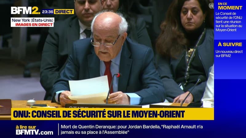"Nous devons enfin faire la paix !", déclare Riyad Mansour, ambassadeur de la Palestine à l'ONU