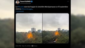 La foudre frappe un arbre du cimetière Montparnasse, le 12 septembre 2024 à Paris.