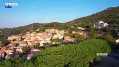 Au Cœur de Bormes les Mimosas