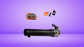 Avec une promo pareille, on comprend pourquoi les internautes achètent ce souffleur à batterie