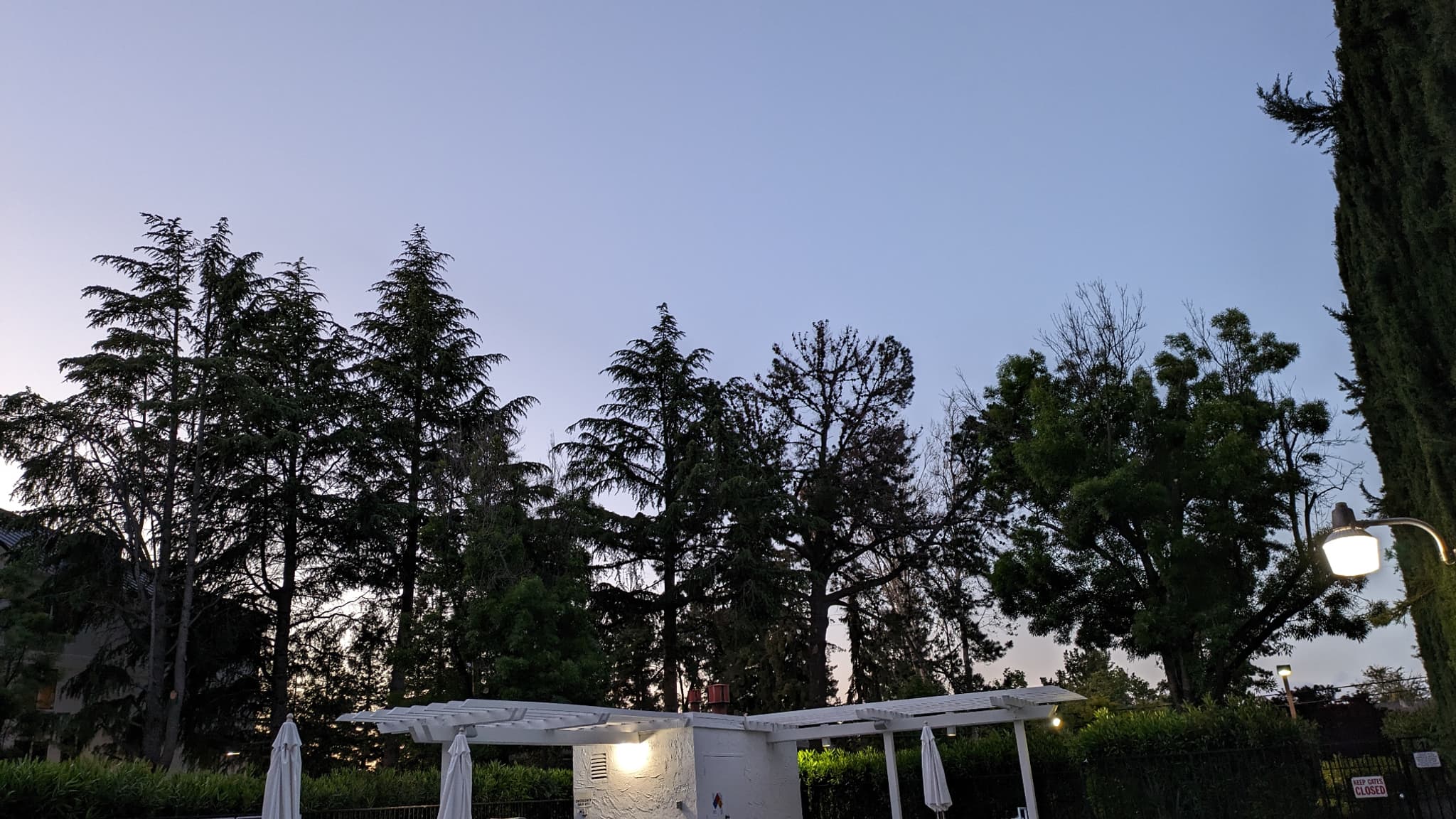 Photo prise au Google Pixel 7a