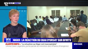 Coup d'État au Niger: "La situation est inacceptable", affirme Anne-Claire Legendre, porte-parole du Quai d'Orsay