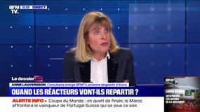 Anne Lauvergeon: "C'est tout à fait possible de rouvrir Fessenheim, mais il faudrait remettre les pièces détachées qui sont parties"