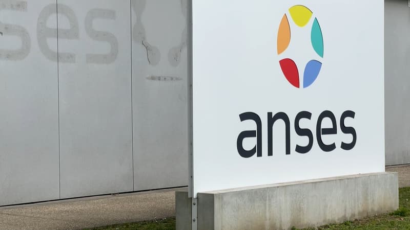 L’Anses confirme une surexposition de la population française au cadmium !