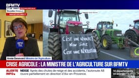 Marschall Truchot : Crise agricole, la ministre de l'Agriculture sur BFMTV - 07/01