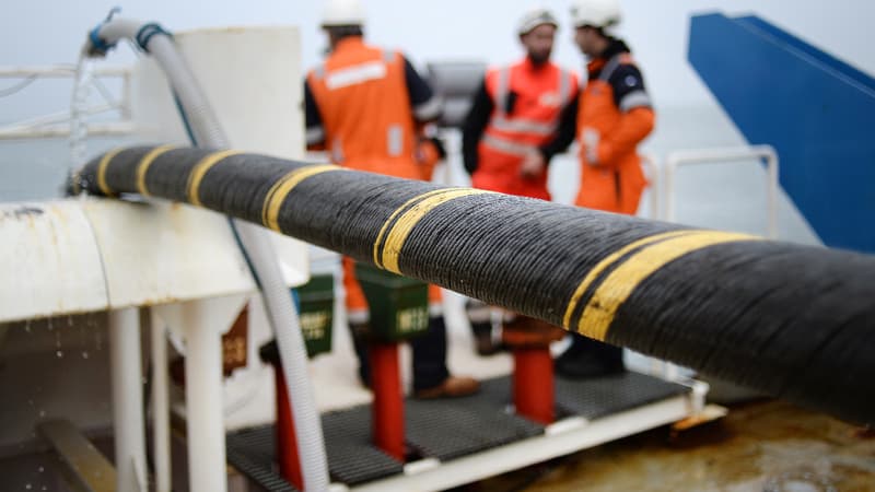 Un câble électrique sous-marin de 600 kilomètres de long va être déployé entre les deux pays. (image d'illustration) 