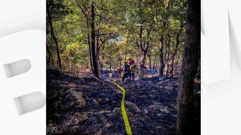 Les pompiers sont intervenus sur le feu de Collongues.