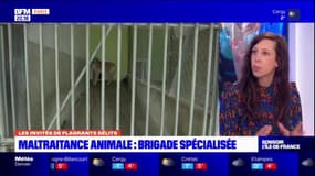 Nouvelle brigade contre la maltraitance animale: "une très belle annonce"