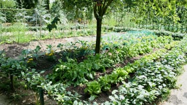 Cette taxe frappe de plein fouet les terrains constructibles qui font, par exemple, office potagers
