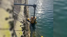 Un chien bloqué dans un canal EDF à Volx dans les Alpes de Haute Provence
