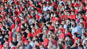 Des supporters de Nîmes
