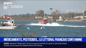 Une étude met en évidence la présence de pesticides et de médicaments sur l’ensemble du littoral français